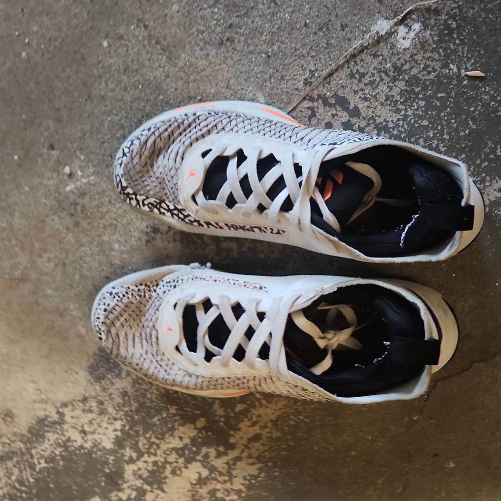 Jordan Luka1 shoe